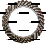 320-2402060-01 Шестерня переднего моста (МЗШ) РБ - Интернет-магазин тракторных запчастей Дизель-Техника, Екатеринбург