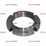52-2302038-А1 Гайка дифференциала переднего моста (РУП МТЗ) РБ - Интернет-магазин тракторных запчастей Дизель-Техника, Екатеринбург