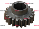 155.37.237 Шестерня (z=20) Т-150К (РБ) - Интернет-магазин тракторных запчастей Дизель-Техника, Екатеринбург