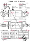 ЦГ-110.56х1120.11 Гидроцилиндр стрелы ЭО-2621 Проф - Интернет-магазин тракторных запчастей Дизель-Техника, Екатеринбург