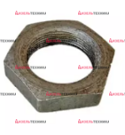 А25.33.107 Гайка оси поддержив.ролика - Интернет-магазин тракторных запчастей Дизель-Техника, Екатеринбург