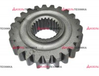 1522-2407052 Шестерня дифференциала зад.моста МТЗ Z=24 - Интернет-магазин тракторных запчастей Дизель-Техника, Екатеринбург