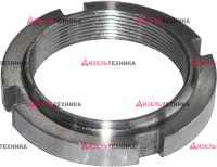 50-1701181 Гайка промежуточного вала МТЗ (Аналог) - Интернет-магазин тракторных запчастей Дизель-Техника, Екатеринбург