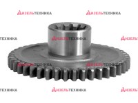 50-1701214 Шестерня 3 передачи (МЗШ) РБ - Интернет-магазин тракторных запчастей Дизель-Техника, Екатеринбург