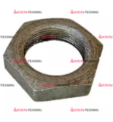 А25.33.107 Гайка оси поддержив.ролика - Интернет-магазин тракторных запчастей Дизель-Техника, Екатеринбург